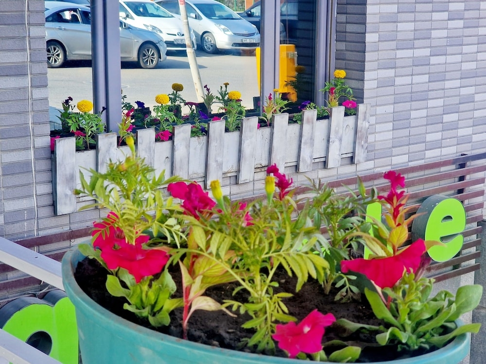 외부 세부 사진