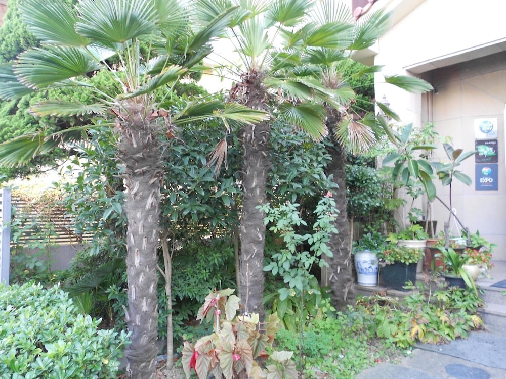 숙박 시설 구내