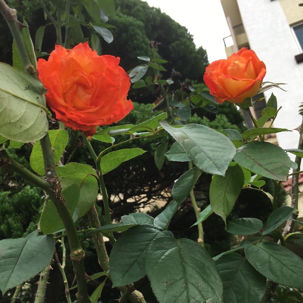 숙박 시설 구내