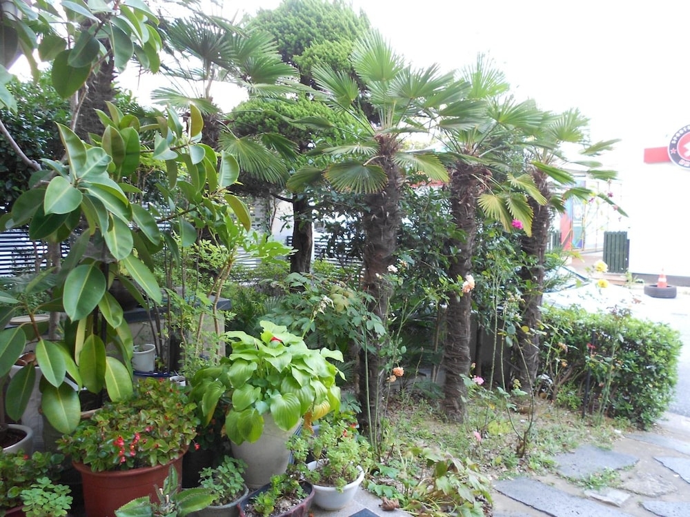 숙박 시설 구내