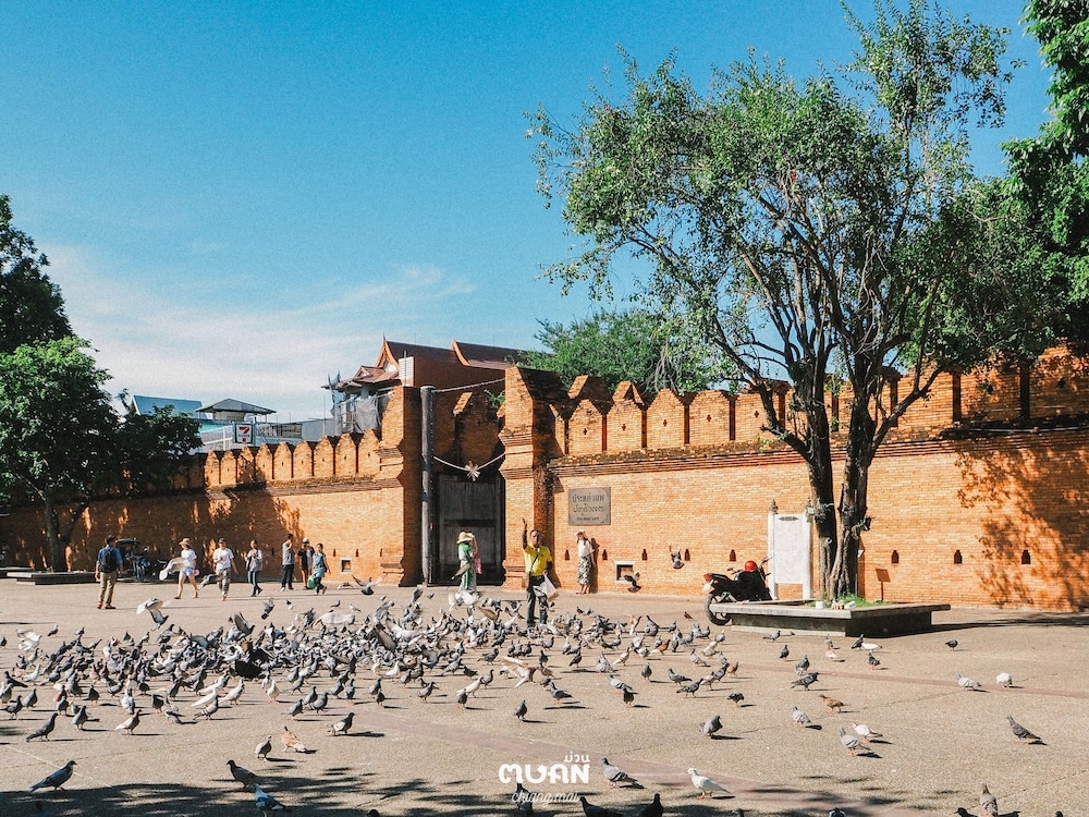 객실에서 보이는 전망