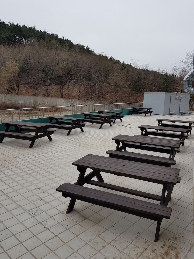 BBQ/피크닉 공간