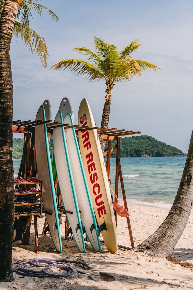 서핑/부기 보드