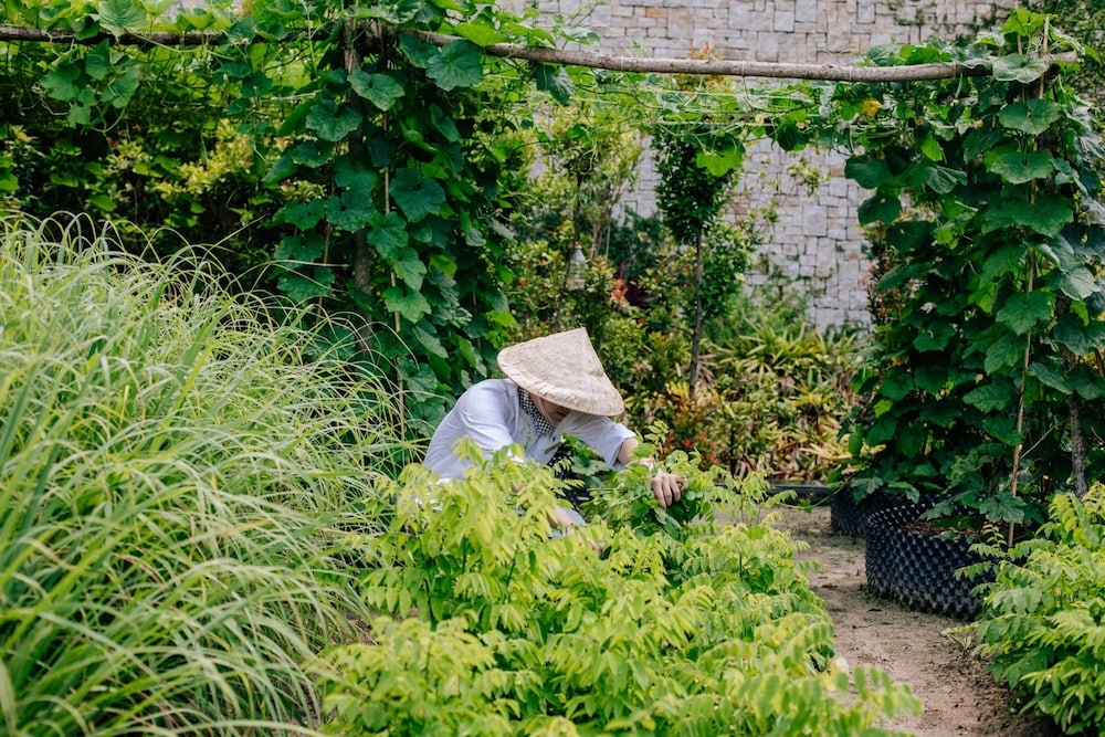 숙박 시설 내 편의 시설/서비스