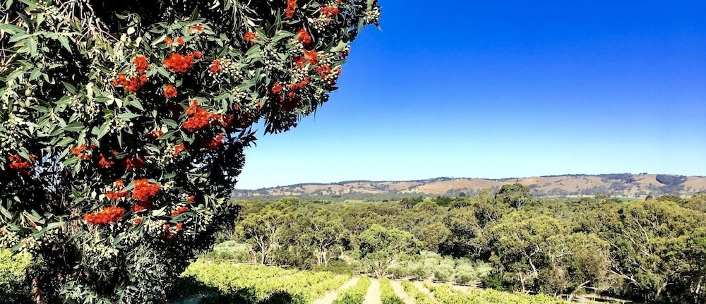 숙박 시설 구내