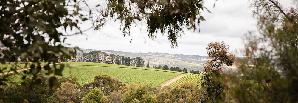 숙박 시설의 전망