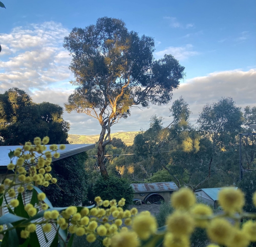 숙박 시설 구내