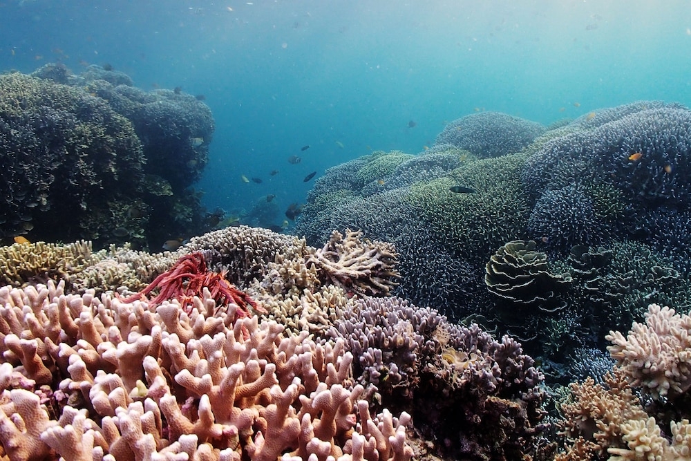 숙박 시설의 전망