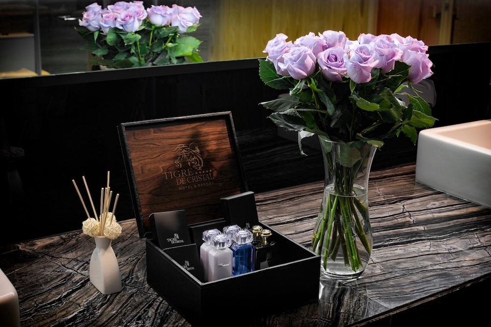 욕실 편의 시설