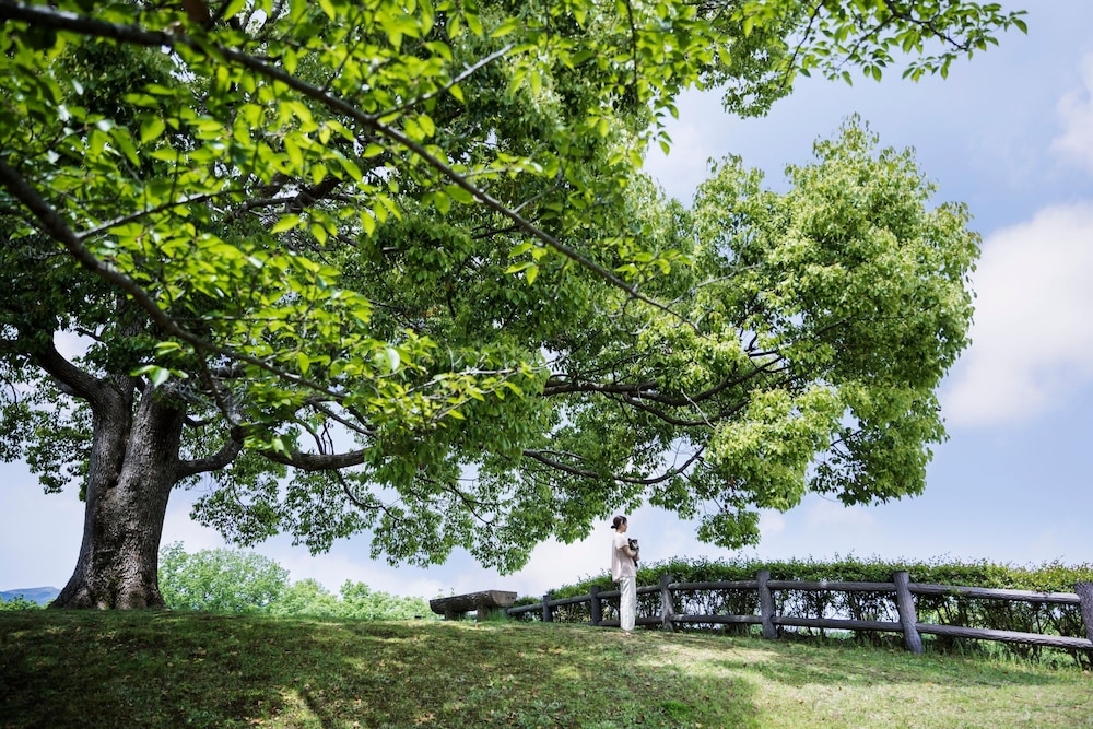 숙박 시설 내 편의 시설/서비스