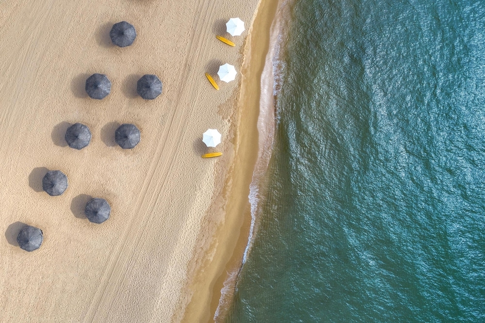 서핑/부기 보드