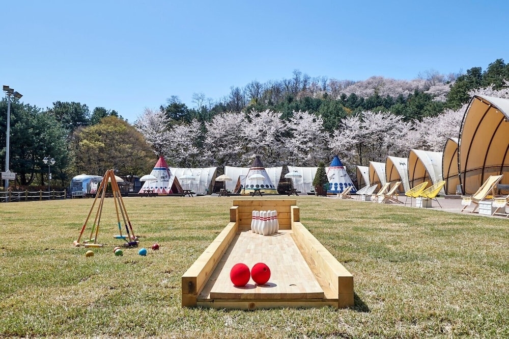 BBQ/피크닉 공간