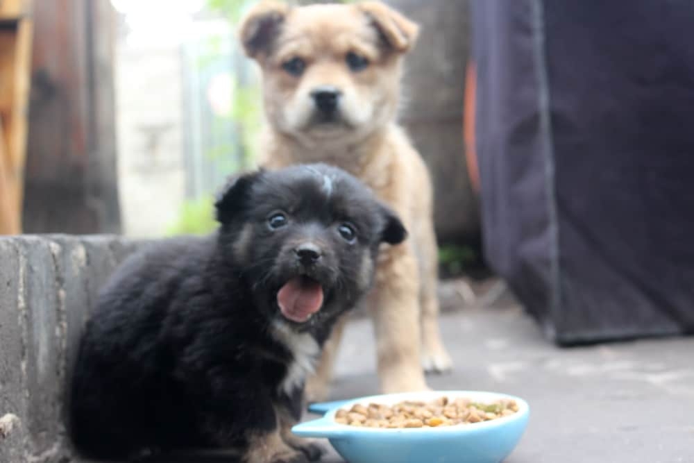 숙박 시설의 전망