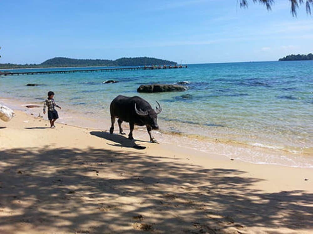 숙박 시설의 전망