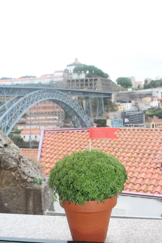 객실에서 보이는 전망