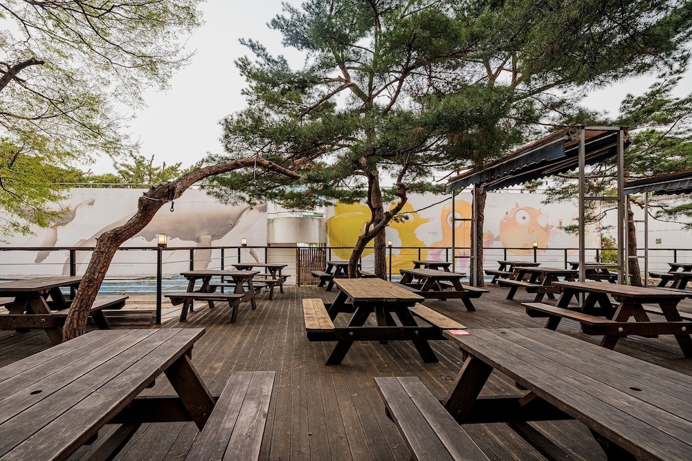 BBQ/피크닉 공간