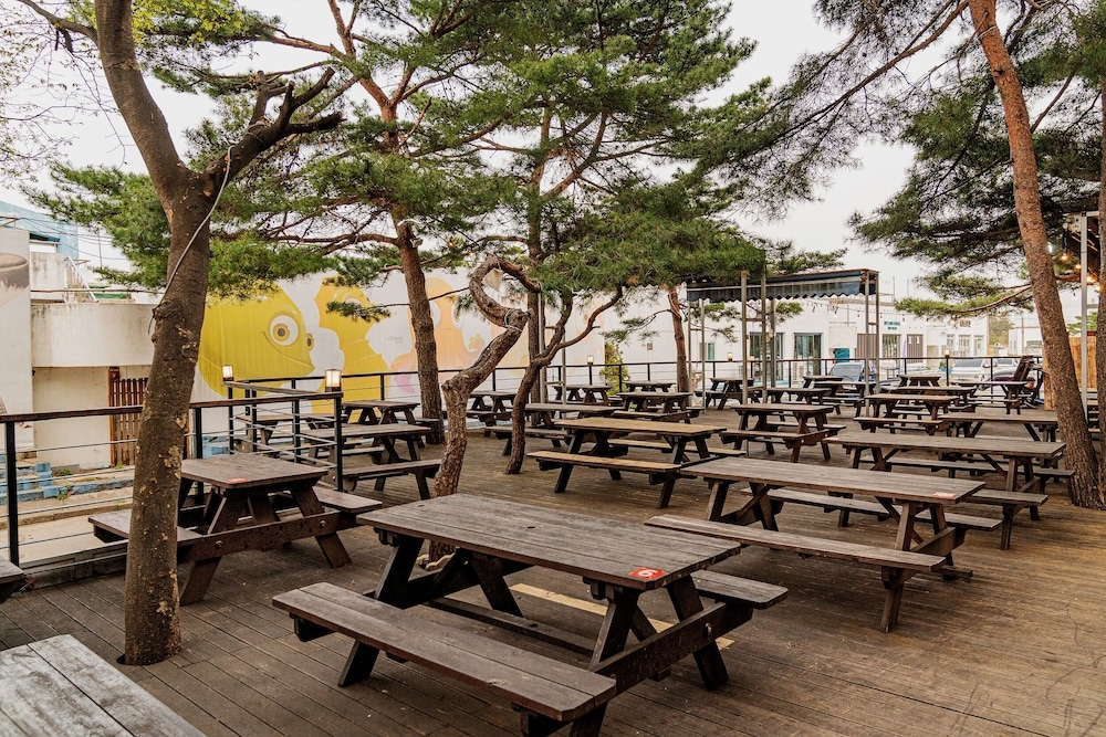 BBQ/피크닉 공간