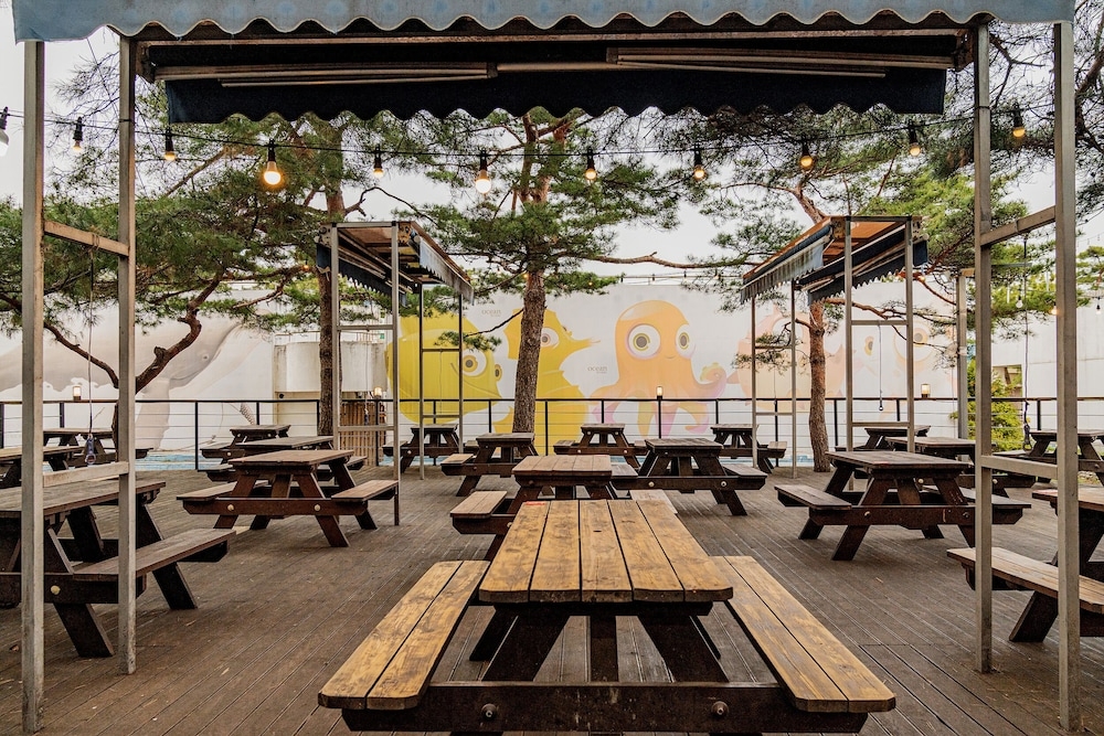 BBQ/피크닉 공간