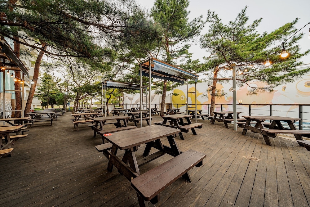 BBQ/피크닉 공간