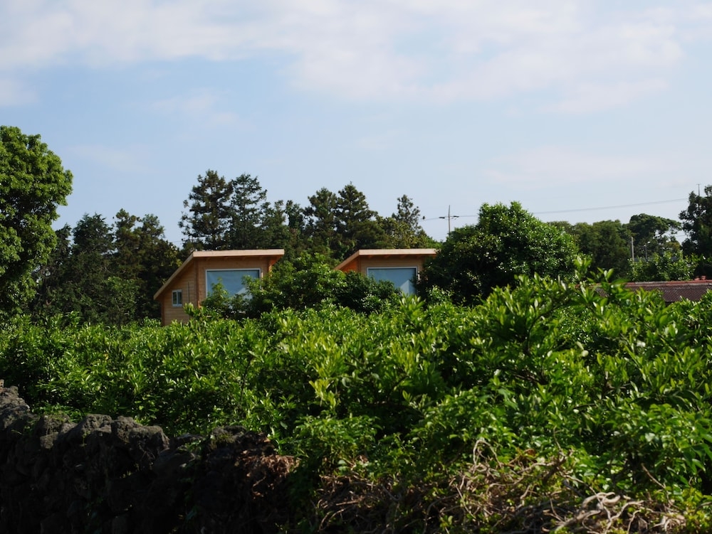 숙박 시설의 전망