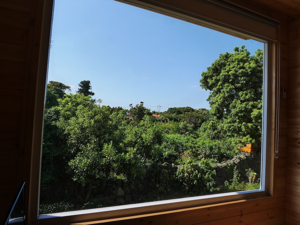 객실에서 보이는 전망