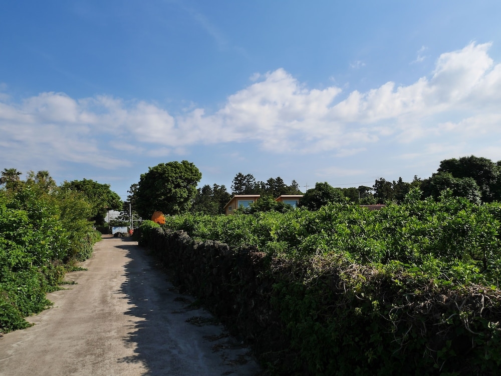 숙박 시설의 전망
