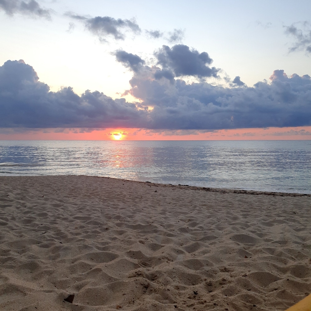 해변/바다 전망