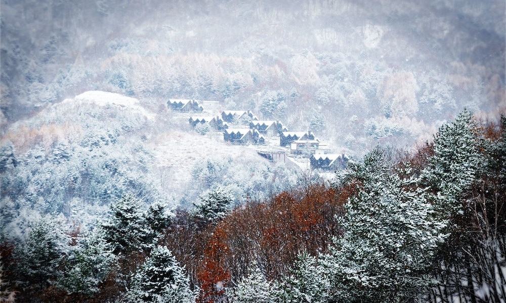 숙박 시설 구내