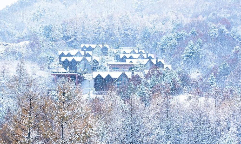 숙박 시설 구내