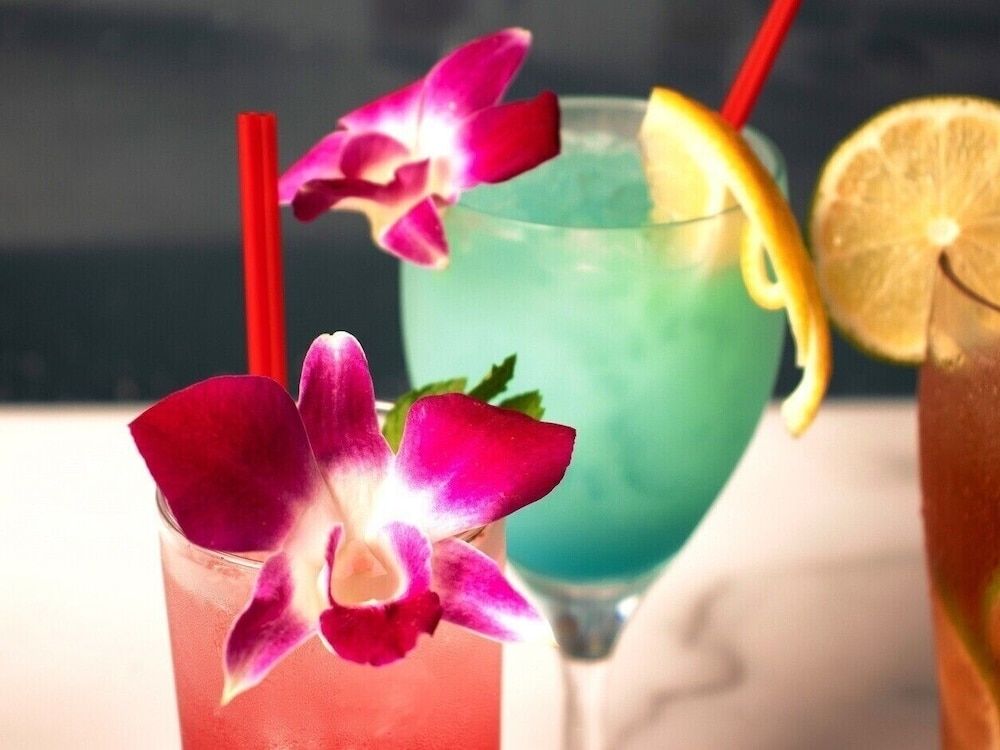 바(숙박 시설 내)