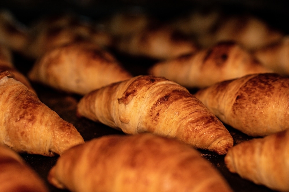 뷔페 아침 식사