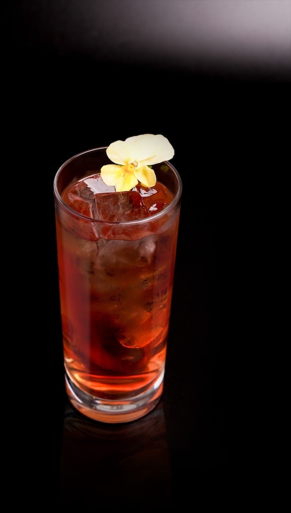 바(숙박 시설 내)