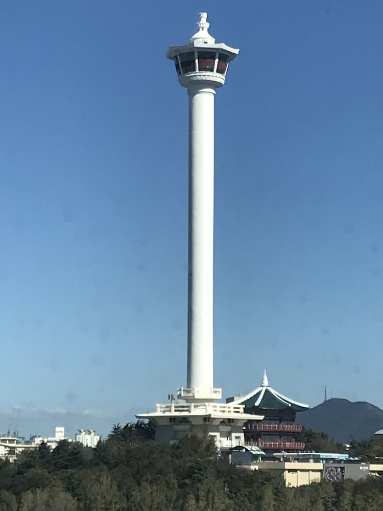 객실에서 보이는 전망