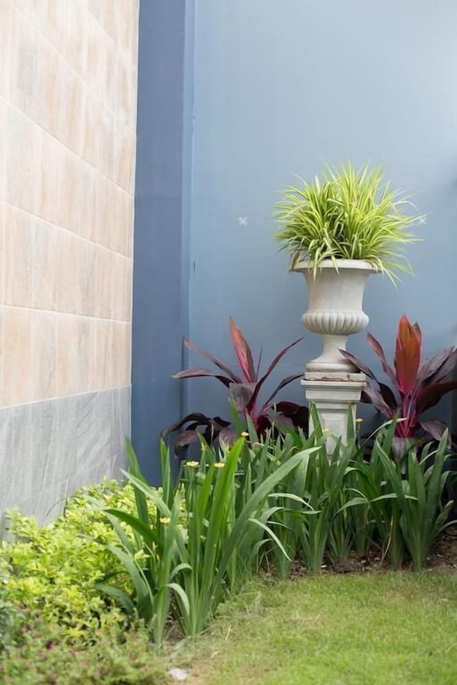 외부 세부 사진