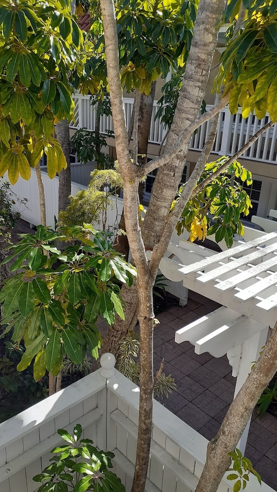 객실에서 보이는 전망