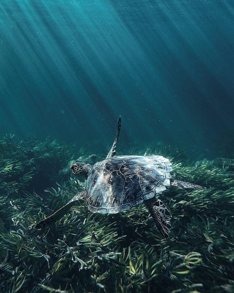 숙박 시설 내 편의 시설/서비스