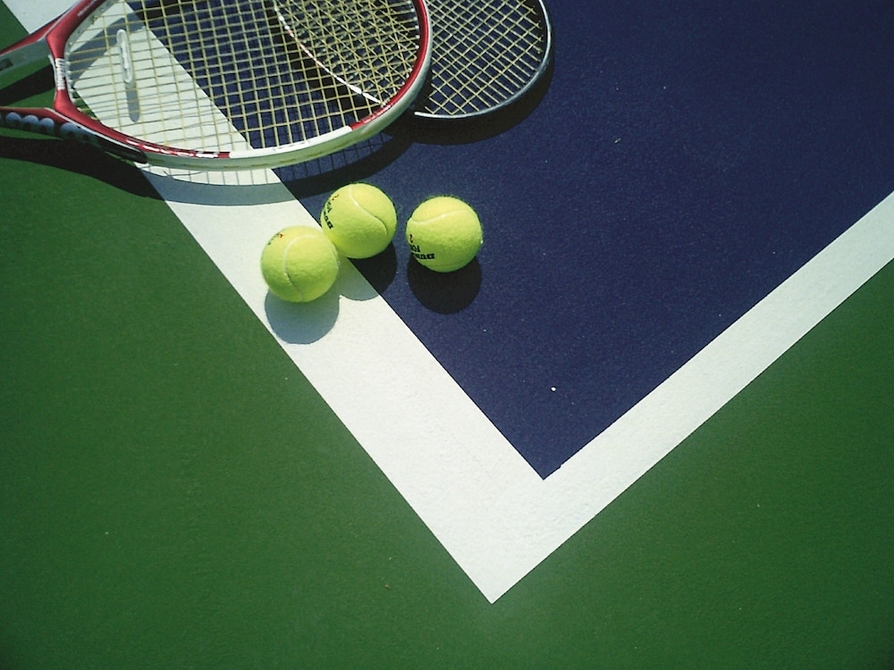 테니스 코트