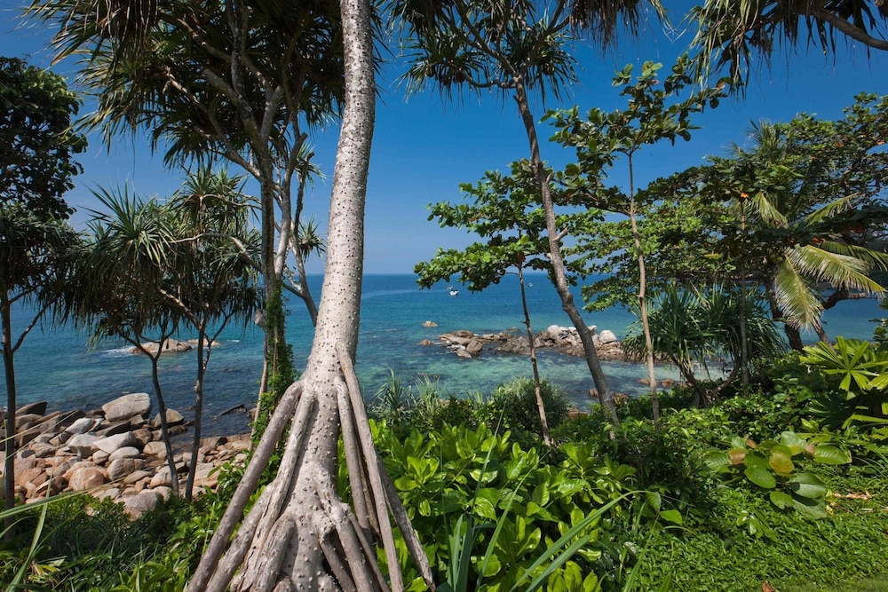 객실에서 보이는 전망