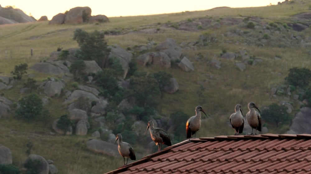 숙박 시설의 전망