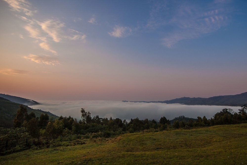 객실에서 보이는 전망