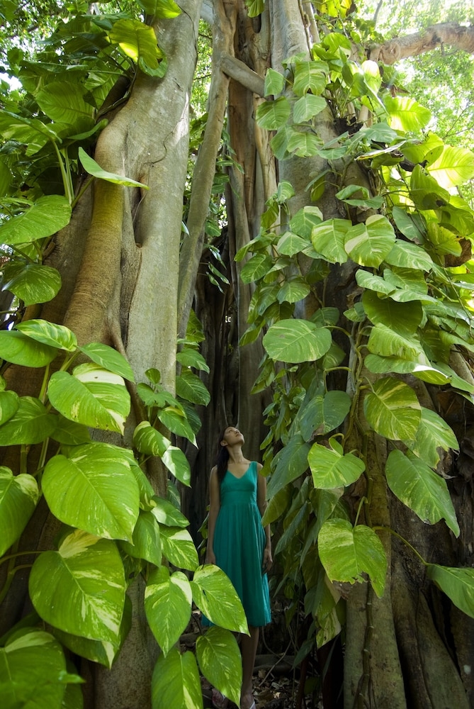 숙박 시설 구내