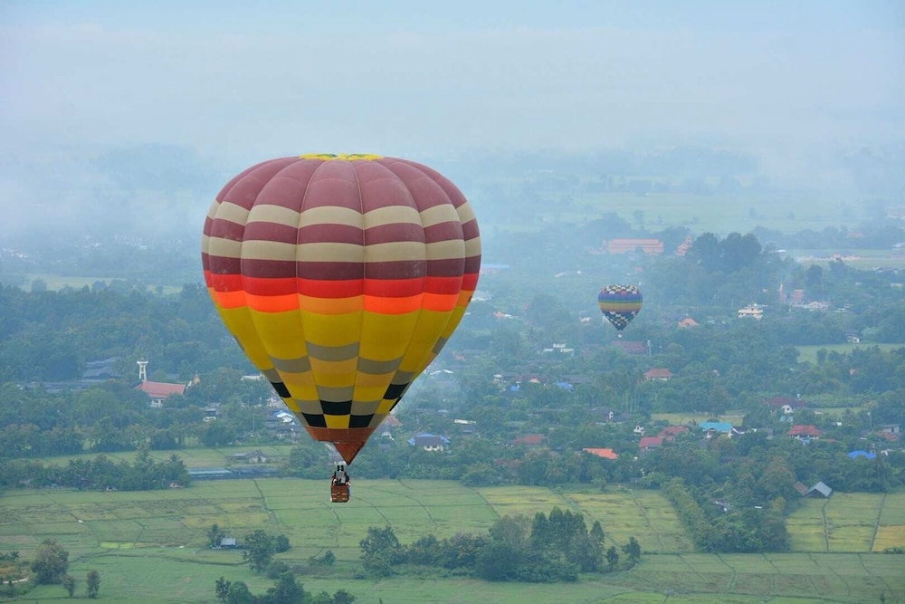 헬리콥터/비행기 투어