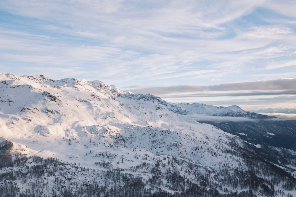 스키 및 겨울 스포츠