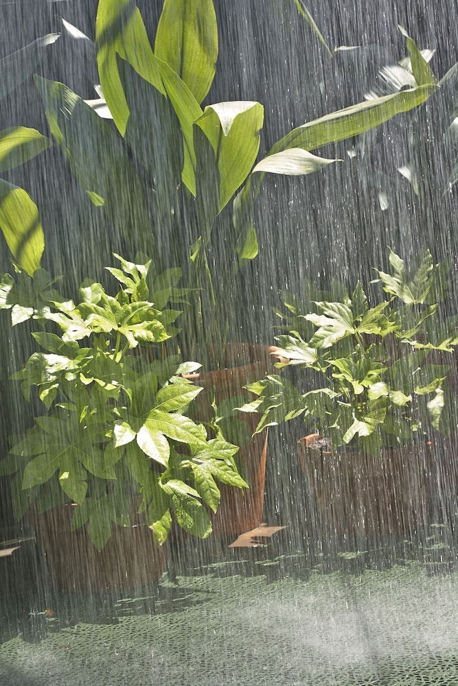 숙박 시설 구내