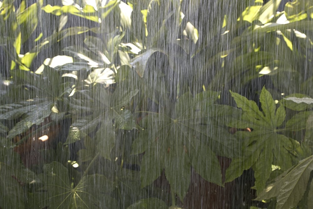 숙박 시설 구내