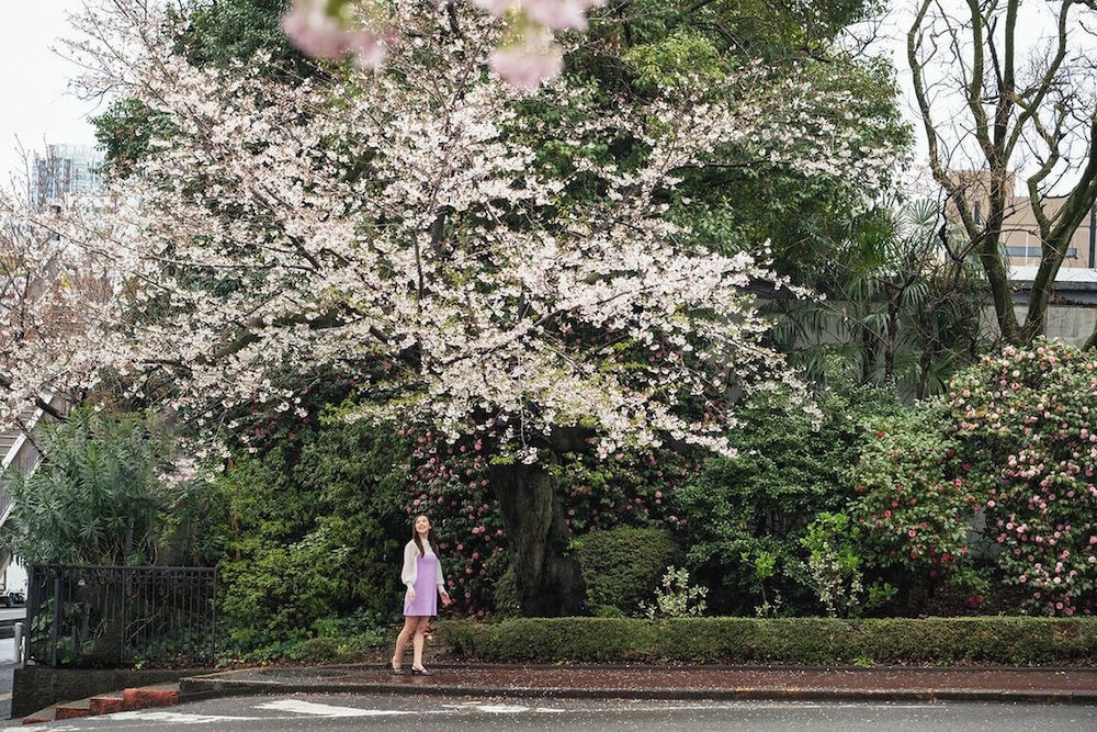 숙박 시설 구내