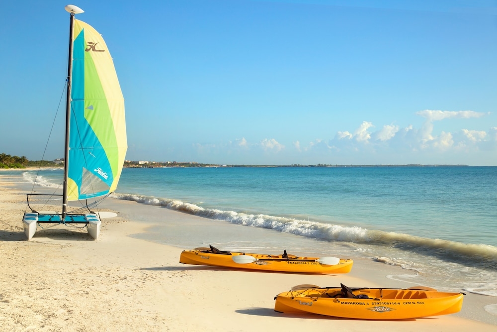 서핑/부기 보드