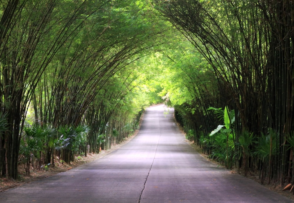 숙박 시설의 전망