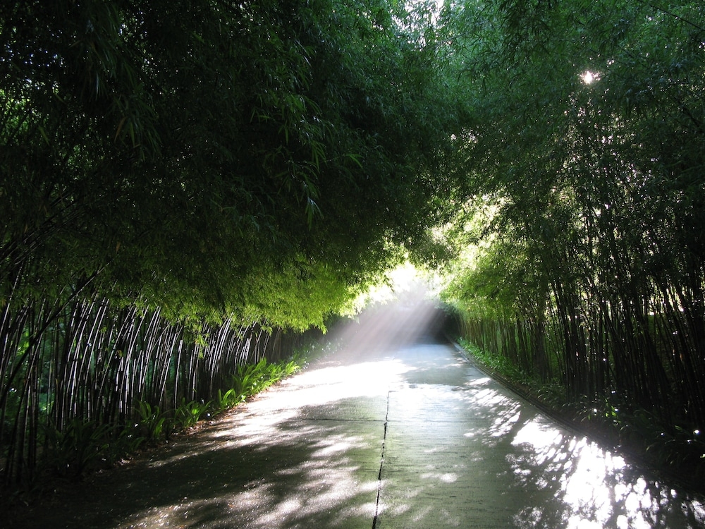 숙박 시설 구내