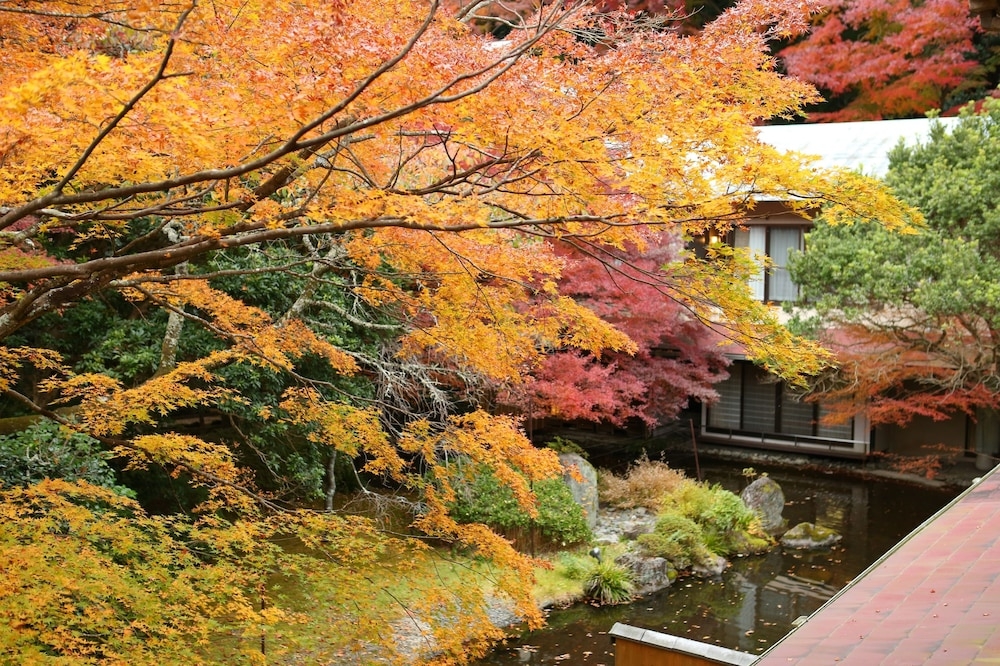 숙박 시설의 전망